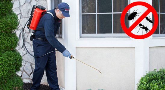 Boyalık Karınca İlaçlama böcek ilaçlama ve haşere kontrolü — ilaclama-tr.com